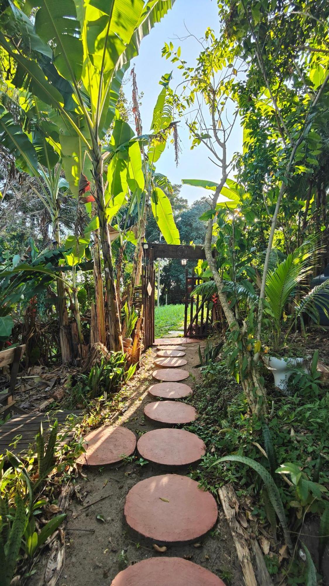 Eco Hostel Bosque Di Barro Velha Boipeba Exterior photo